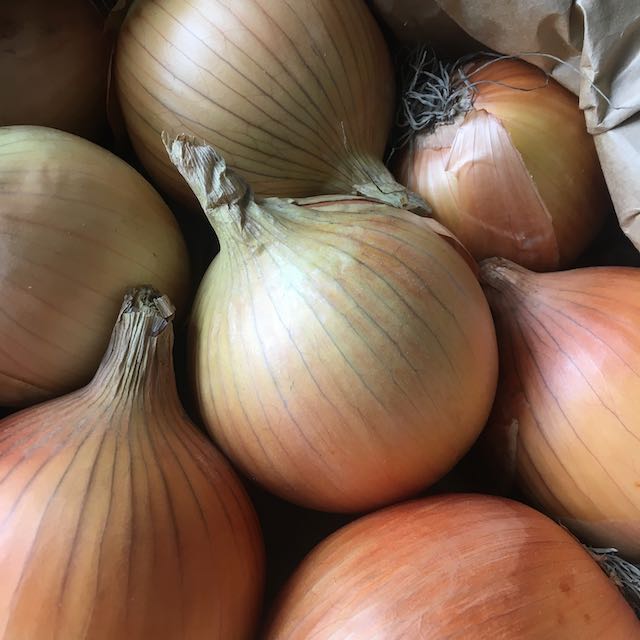 Un gros plan de plusieurs oignons entiers révèle des peaux brun clair, certaines enveloppées dans des cosses papyracées. Ils sont disposés dans un panier pour mettre en valeur leurs couches et textures distinctes, mettant en valeur l&#39;attrait doux du célèbre Oignon Ailsa Craig - semences bio de Tourne-Sol.