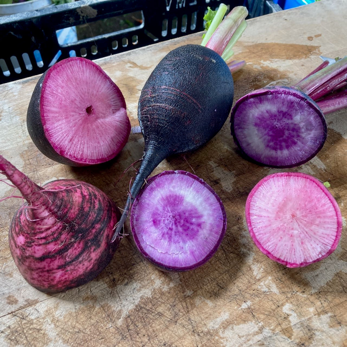 Une sélection de Radis d&#39;hiver Améthyste Noir de Tourne-Sol est tranchée sur une surface en bois, révélant des peaux noires et brun rougeâtre avec des intérieurs roses et violets vibrants qui mettent en valeur leurs motifs colorés.