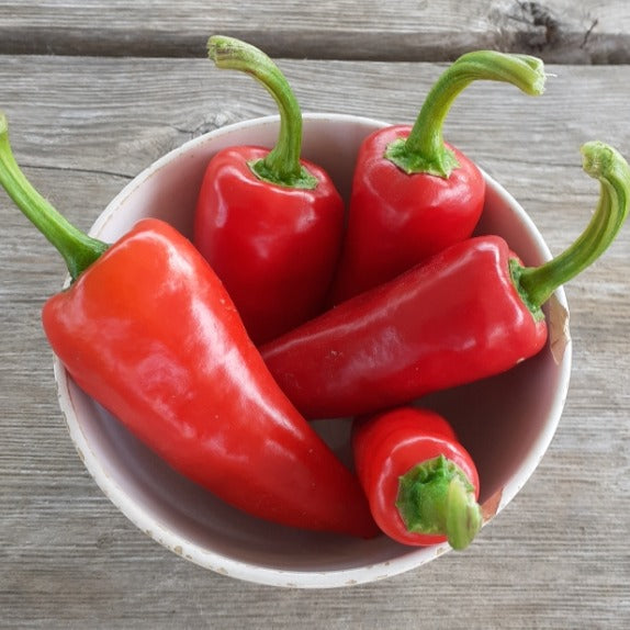 Un bol de Piment Fort Gorria - semences bio de Tourne-Sol repose sur une surface en bois, mettant en valeur des poivrons aux tiges vertes vives sur une peau rouge, célébrés dans la tradition culinaire française pour leur taille variable et leur attrait rustique.