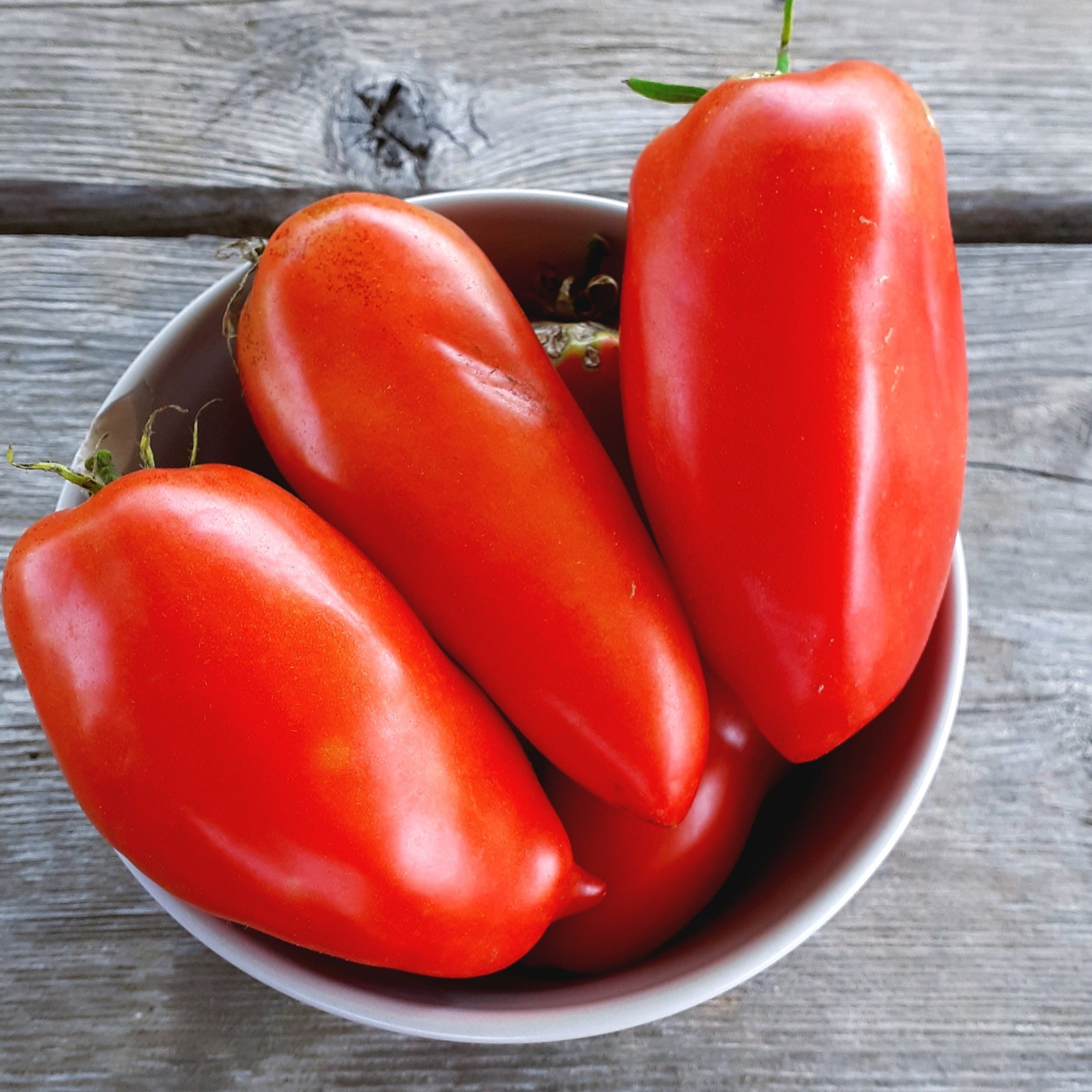 Gros plan d'un bol contenant plusieurs tomates Andine Cornue mûres de Tourne-Sol sur une surface en bois rustique. Leur peau lisse et brillante et leur forme oblongue sont idéales pour créer des sauces épaisses traditionnelles françaises, incarnant le riche héritage de la tomate rouge dans les arts culinaires.