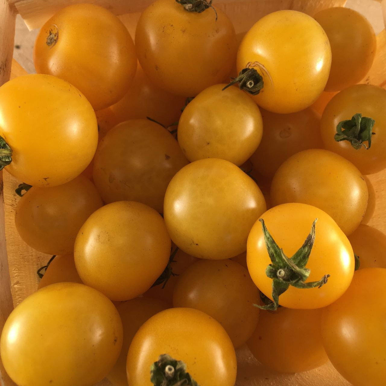 Un gros plan montre un panier en bois rempli de tomates jaune cerise Galina - semences bio de Tourne-Sol. Les tomates rondes et mûres de forme uniforme présentent quelques tiges vertes, tandis qu'un éclairage chaleureux met en valeur leur texture lisse et leur couleur vibrante.