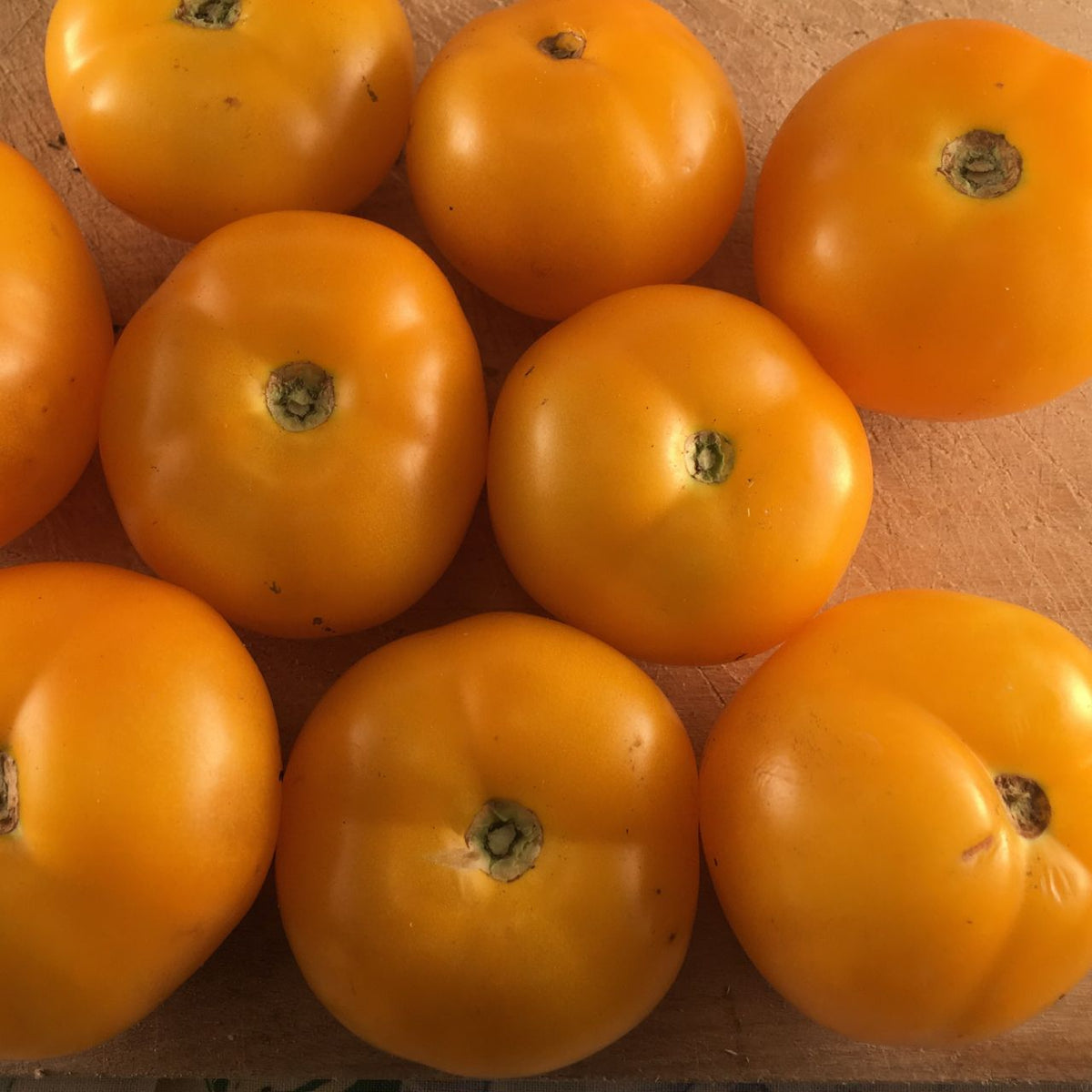 Dispersée sur une planche à découper en bois, une collection de Tomate Jaune Golden Bison - semences bio de Tourne-Sol varie légèrement en taille et présente des surfaces lisses et brillantes.