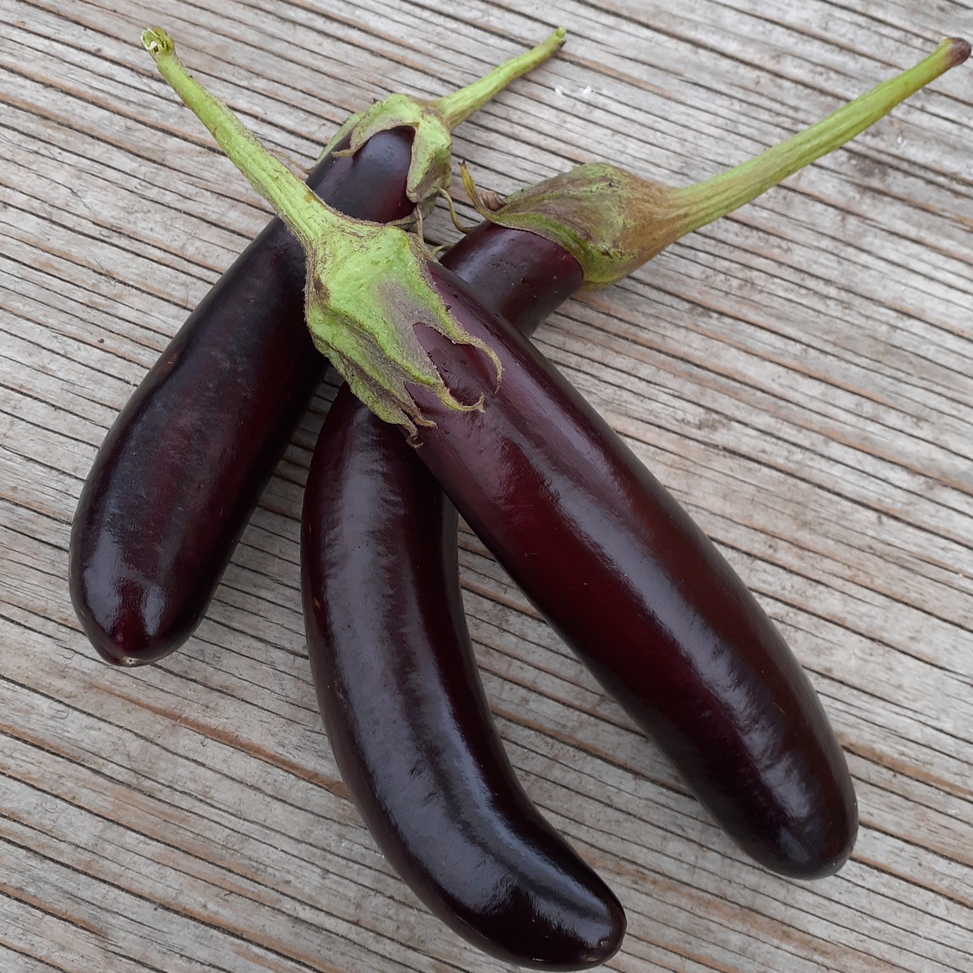 Trois petits doigts d'aubergine brillants de Tourne-Sol, aux tiges vertes, reposent élégamment sur une surface en bois.