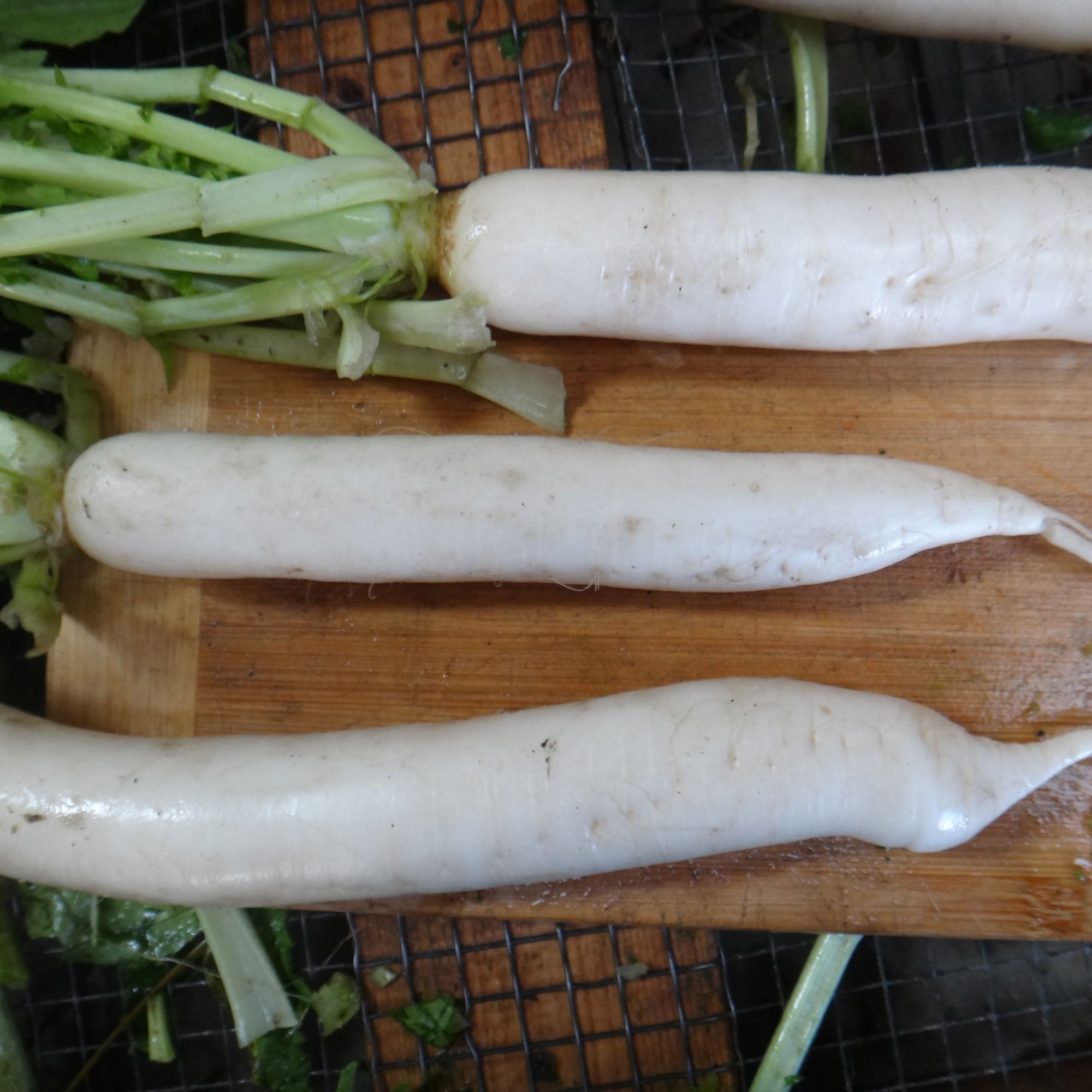 Trois radis Daikon - semences bio de la marque Tourne-Sol, de forme allongée, accompagnés de feuilles vertes, reposent sur une planche à découper en bois entourée de morceaux de légumes verts hachés. Ces radis sont blancs avec une texture lisse, parfaits pour être ajoutés aux soupes ou à tout plat nécessitant un croquant croquant.